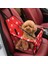 Siyah Stil 40X30X25CM Pet Köpek Araba Taşıyıcı Koltuk Çanta Su Geçirmez Sepet Katlanır Hamak Küçük Kedi Köpekler Için Pet Taşıyıcı Çanta Güvenlik Seyahat Örgü Çanta (Yurt Dışından) 3