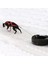 Siyah Stil Xl Boyutu Su Geçirmez Köpek Kızağı Çekme Koşum Büyük Köpekler Için Pet Mushing Koşum Husky Pet Egzersiz Bikejoring Kızak Skijoring Koşum (Yurt Dışından) 4