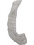 Duş Bonesi 50 Adet 50X41 cm 1