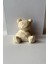 Bear Kitap Tutucu 2