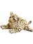 Sevimli Peluş Oyuncak Yastık Peluş Yastık Yatak Odası Dekoru Çocuklar Için Doğum Günü Hediyesi Leopar 39CM (Yurt Dışından) 4