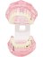 Diş Diş Modeli Öğretme Çalışması Oral Implant Restorasyonu ve Patoloji Pembe (Yurt Dışından) 2