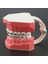 M7010-2 Tarzı Dental Typodont Ortodontik Diş Modeli 1:1 Standart Demo Archwire Ligatür Bağları Metal Parantez Bukkal Tüpler ile Çalışmayı Öğret (Yurt Dışından) 4