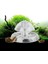 1 Adet Tarzı 8cm Akvaryum Aksesuarları Akvaryum Bitki Salyangoz Tuzak Yakalayıcı Plastik Planaria Haşere Yakalama Kutusu Akvaryum Balık Tankı Aksesuarları (Yurt Dışından) 2