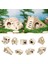 No.5 Tarzı Hamster Ahşap Ev Hideout Küçük Hayvan Habitat Doğal Ahşap Tırmanma Oyun Kulübesi Çiğniyor Oyuncaklar Cüce Hamster Için (Yurt Dışından) 3