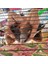 Yeşil Stil S Beden Küçük Evcil Hayvan Kafesi Hamak Sıçanlar Için Çift Katmanlı Planör Sallanan Yatak Asılı Sıçan Evi Kafesi Hamster Sıcak Yatak Mat Oynamak Için Sleepin (Yurt Dışından) 4