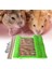 Bej Tarzı S Beden Sıçan Yastık Yatak Rahat Eğlenceli Isırmaya Dayanıklı Hamster Hamak Papağan Yuva Yatak Evcil Hayvan Malzemeleri Hamster Yastık Hamster Hamak (Yurt Dışından) 5