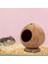 Kahve Tarzı Güvenli Küçük Evcil Hayvanlar Evi Hindistan Cevizi Kabuğu Gine Domuzu Yuva Çizilmeye Dayanıklı Hamster Hideout Kulübe Pet Çiğneme Oyuncak Egzersiz Eğitimi (Yurt Dışından) 4