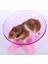 Pembe Tarzı Pet Hamster Uçan Daire Egzersiz Sincap Tekerlek Hamster Fare Koşu Diski Sıçan Oyuncakları Kafes Küçük Hayvan Hamster Aksesuarları (Yurt Dışından) 1