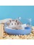Mavi Stil L Boyutu Hamster Küvet Banyo Şeffaf Hamster Fare Evcil Hayvan Tuvaleti Kafes Kutusu Banyo Kum Odası Ayrılabilir Anti-Sıçrama Büyük Uzay Banyo (Yurt Dışından) 4