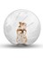 C Desteği Stili 10CM Pet Hamster Egzersiz Plastik Çalışan Tekerlek Mini Taşınabilir Koşu Grounder Oyun Topu Sıçan Fare Egzersiz Tırmanma Oyuncak Oynarken (Yurt Dışından) 5
