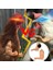 D Tarzı Tavuk Kolu Decoratioken Ön Ayak Dekor Dinozor Parodi Pet Proken Kol Hulk Armken Temalı Parti Komik Dekor (Yurt Dışından) 4
