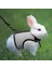 Pembe Tarzı S Beden Pet Küçük Hayvan Koşum Tasma ile Çekme Halatı Örgü Yelek Gelincik Hamster Tavşan Gine Domuzu Bunny Kedi Koşum Pet Malzemeleri (Yurt Dışından) 3