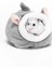 F Tarzı 1 Adet Hamster Evi Gine Domuzu Aksesuarları Hamster Pamuk Ev Küçük Hayvan Yuvası Kış Sıcak Kemirgen Gine Domuzu Ratkirpi (Yurt Dışından) 1