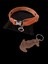 Köpek kolyesi hakiki deri minik ırk turuncu metal zımbalı genişlik:1,5cm boyun ölçüsü:14-26cm ayarlamalı dog collar K1-11TU 3