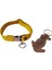 Köpek kolyesi hakiki deri minik ırk sarı metal zımbalı genişlik:1,5cm boyun ölçüsü:14-26cm ayarlamalı dog collar K1-11SA 2