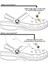 Crocs Jibbitz Terlik Süs Uçan Kelebek 3