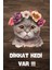 Dikkat Kedi Var Temalı Poster Dktk3 1