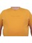 Erkek Büyük Beden Sıfır Yaka T-Shirt Rich 24134 Hardal 3