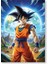 Dragon Ball Anime Poster B 1