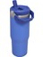 The Iceflow Flip Straw Pipetli Termos Bardak 0,89 Lt 2