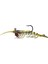 Caridina Shrimp Tpe Yumuşak Karides 7.62CM 6.5gr C008 1