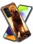 Samsung Galaxy A15 4g/5g Tpu Koruyucu Kılıf Desenli Arka Telefon Kapağı-Aslan (Yurt Dışından) 2