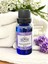 Lavender Oil 3