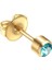 STIL26 2 Adet Grup Çelik Küpe Çıtçıt Kulak Delme Tabancası Birthstone Gem Kulak Çıtçıt Küpe Damızlık Tragus Kıkırdak Helix Piercing Takı (Yurt Dışından) 1
