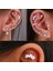No.27 Tarzı No.1-No.50 Tyles Seçin Çelik Kulak Tragus Kıkırdak Delici Ay Yıldız Kıkırdak Küpe Kabuklu Tragus Damızlık Helix Kıkırdak Delici (Yurt Dışından) 5