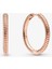 No.26 Boyutu Orijinal Terling Gümüş Earringtud Kristal Küpe Kadınlar Için Gül Altın Taç Kalp Sonsuzluk Arı Küpe Takı (Yurt Dışından) 1