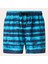 Blur Strıpes Rc 16" Beachshort Erkek Şort  OAK.FOA405398-OAK.9ZM 1