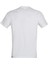 M S/s Gps Tee Istanbul Erkek T-Shirt NF0A8B4KFN41 2