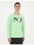 Erkek Fıstık Yeşili Regular Fit Sweatshirt 50285538-VR087 3