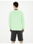 Erkek Fıstık Yeşili Regular Fit Sweatshirt 50285538-VR087 5
