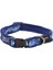 Fashion Halsband S Amphibian Blue Boyun Tasması 1