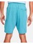 Sportswear Modern Essentials Erkek Şort DM4582-424 3