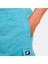 Sportswear Modern Essentials Erkek Şort DM4582-424 5