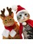 Longbangdian Shop Açık Yeşil Tarzı S Beden Ristmas Şapka Cadılar Bayramı Pet Kostüm Kedi Köpek Yavrusu Kostümleri Için Eşarp Hediye Yeni Yıl Noel Baba Kış Cosplay Cadılar Bayramı Cosplay (Yurt Dışından) 2