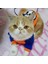 Kapüşonlu-Mr.q Stili Xs Beden Pet Kedi Kostüm Yaz Kedi Yelek Hoodie Rahat Maskotlar Gotos Kediler Için Giysiler Katten Coat Kedi Giyim Sweatshirt Kıyafet (Yurt Dışından) 3