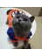 Kapüşonlu-Mr.q Stili Xs Beden Pet Kedi Kostüm Yaz Kedi Yelek Hoodie Rahat Maskotlar Gotos Kediler Için Giysiler Katten Coat Kedi Giyim Sweatshirt Kıyafet (Yurt Dışından) 4