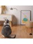 No.29 Tarzı Olmayan Simülasyon Kuş Interaktif Kedi Oyuncak Komik Tüy Kuş Çan ile Kedi Sopa Yavru Oynama Teaser Değnek Oyuncak Kedi Malzemeleri (Yurt Dışından) 3