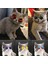 No.5 Tarzı Kedi Güneş Gözlüğü Kişilik Komik Şapkalar Köpek Yansıtıcı Güneş Gözlüğü Oyuncak Evcil Hayvan Aksesuarları Kedi Gözlükleri Evcil Hayvan Oyuncakları Kedi Aksesuarları (Yurt Dışından) 3