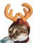 Şal ​​3 Tarzı L Beden Ristmas Şapka Cadılar Bayramı Pet Kostüm Kedi Köpek Yavrusu Kostümleri Için Eşarp Hediye Yeni Yıl Noel Baba Kış Cosplay Cadılar Bayramı Cosplay (Yurt Dışından) 5
