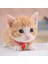 Altın Tarzı 10 Parça Renkli Eva Kedi Oyuncak Topu Etkileşimli Kedi Scratcher Oyuncak Pet Top Oyuncaklar Kedi Sefl Oynayan Dişler Için Komik Yavru Kedi Malzemeleri (Yurt Dışından) 4