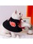 Siyah Stil S Beden Evcil Hayvan Giysileri Akatsuki Kedi Pelerin Cadılar Bayramı Pet Köpek Pelerin Eğlence Tops Teddy Bear Küçük Köpek Cosplay Kostüm Elbise Pelerin (Yurt Dışından) 2