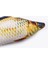 Saury 30CM Tarzı Balık Pet Yumuşak Peluş 3D Fape Kedi Oyuncak Balık Catnip Oyuncaklar Dolması Yastık Bebek Simülasyon Interaktif Hediyeler Balık Pet Için Oyuncak Oynayan (Yurt Dışından) 4
