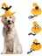Iskelet Tarzı Cadılar Bayramı Cadı Pet Köpek Kedi Şapka Giydirme Düzeltilmiş Headdress Küçük Büyük Köpek Kedi Cosplay Kostüm Dekoratif Şapka Pet Aksesuarları (Yurt Dışından) 2