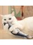F Elektrikli Balık Stili 30CM Elektronik Fape Kedi Oyuncak Elektrikli USB Şarj Simülasyon Balık Oyuncakları Komik Kedi Çiğneme Çalma Malzemeleri Disket Sallama Balık (Yurt Dışından) 5