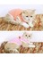 Kırmızı Stil Xxl Sevimli Evcil Hayvan Giysileri Çizgili Kedi Giyim Yumuşak Yaz Yelek Kedi Giysileri Için Kedi Yavrusu Gömlek Pet T-Shirt Kedi Kostüm Küçük Köpek Giydir (Yurt Dışından) 4